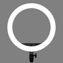 Aro de Luz Led Godox 45cm. LR150 con Adaptador de Corriente y Base para SmartPhone