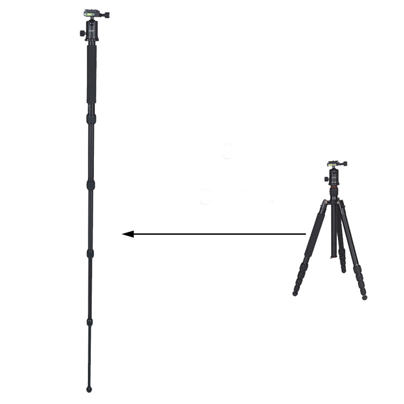 Tripié / Monopié Vanta FOTOMATE UD-2801 con Cabeza de Bola