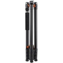 Tripié/Monopié K&F Concept T254AT+BH-28L Aleación Magnesio c/Cabeza de Bola y Columna c/Movimientos Transversales (KF09.119)