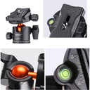 Tripié K&F Concept SA234+KF-28 c/Cabeza de Bola (KF09.080V1)