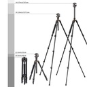 Tripié K&F Concept SA234+KF-28 c/Cabeza de Bola (KF09.080V1)