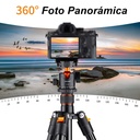 Tripié K&F Concept SA234+KF-28 c/Cabeza de Bola (KF09.080V1)