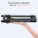Tripié Fibra de Carbón K&F Concept K254C2 + Cabezal de Bola BH-36L (KF09.123)