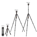 Tripié Fibra de Carbón K&F Concept K254C2 + Cabezal de Bola BH-36L (KF09.123)