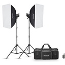 Kit de 2 Flash Godox MS200V-F