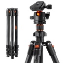 Tripié Fibra de Carbón K&F Concept K254C2 + Cabezal de Bola BH-36L (KF09.123)