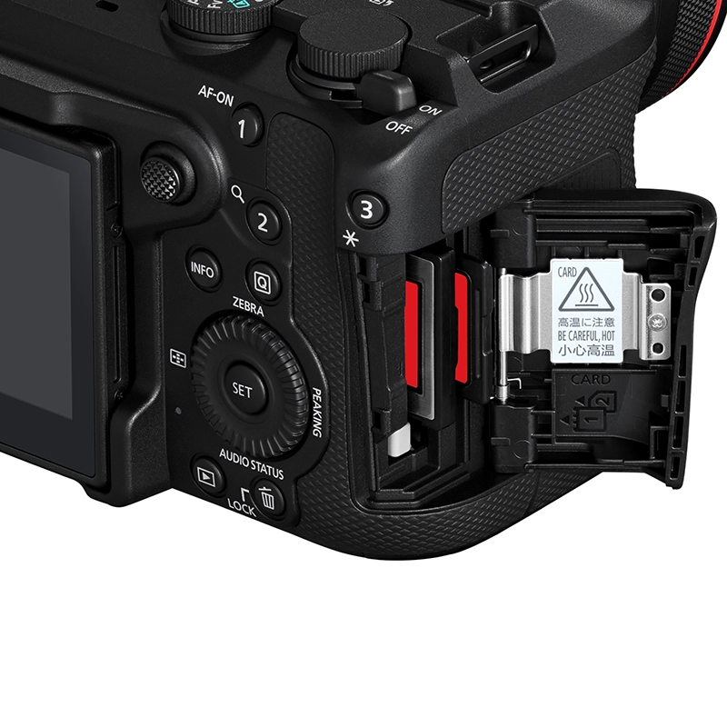 Cuerpo de Cámara Canon EOS R6 V