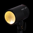Flash Godox Witstro AD100 PRO