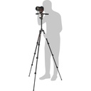 Tripié Manfrotto BeFree ALPHA con Cabeza de 2 Manerales MKBFRLA-3W