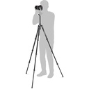 Tripié Manfrotto BeeFree MKBFRTA4GT-BH c/Cabeza de Bola