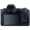 Cuerpo de cámara Canon EOS R + Adaptador EF-EOS R