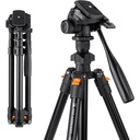 Tripié Compacto K&F Concept K234A0 + Cabeza para Foto/Video c/Soporte para Celular (KF09.115)