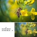 Filtro UV Azul Multi-Capa K&F Concept 67mm. Serie C (KF01.1426) 